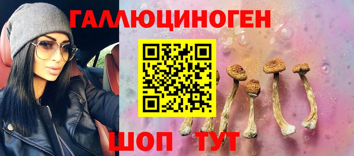 Псилоцибиновые грибы мицелий  Вход с VPN  Мариинск  Галлюциногенные грибы мицелий 